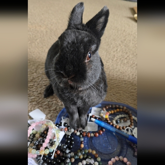 8mm Pink Cherry Agate Bracelet - Picture 5 of 6